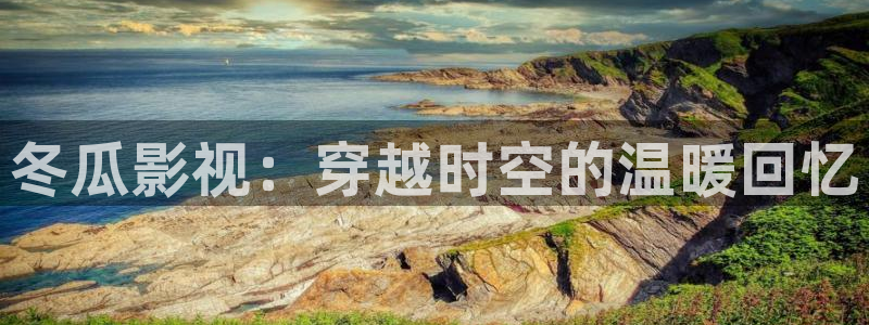 花花影院第九影院：冬瓜影视：穿越时空的温暖回忆