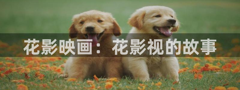 神马第九达达兔影院：花影映画：花影视的故事