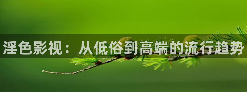 神影院第九9达达兔免费：淫色影视：从低俗到高端的流行趋势