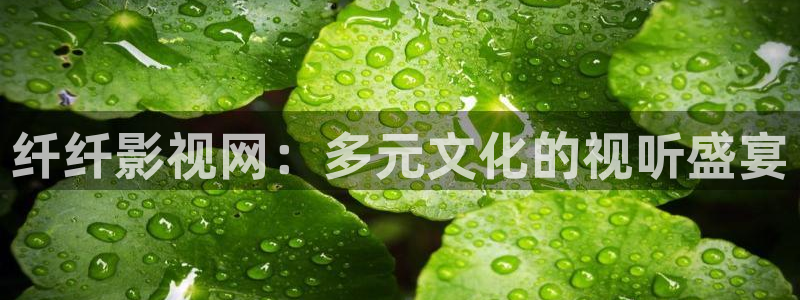大侦探第九季星辰影院：纤纤影视网：多元文化的视听盛宴