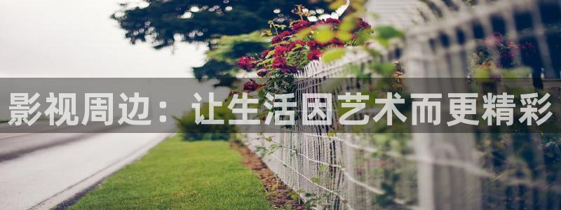 神马电影网电影院第九：影视周边：让生活因艺术而更精彩