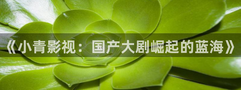 第九影院午夜理论影院