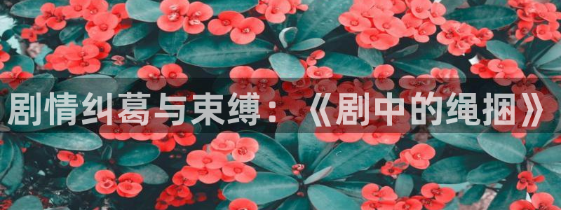 第九影院成人