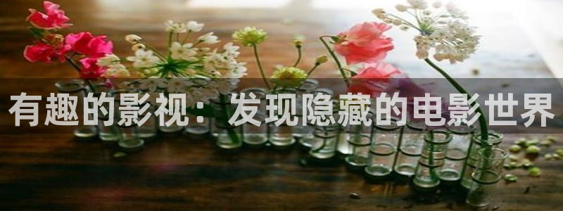 第九超神达达兔影院