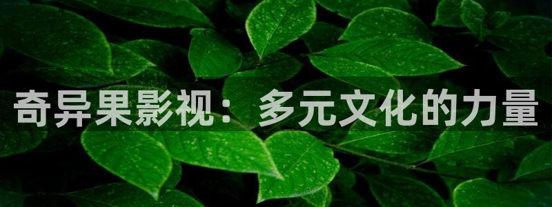 达达兔第九影院在线观看：奇异果影视：多元文化的力量