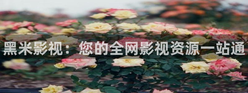 第九神马影院在线：黑米影视：您的全网影视资源一站通