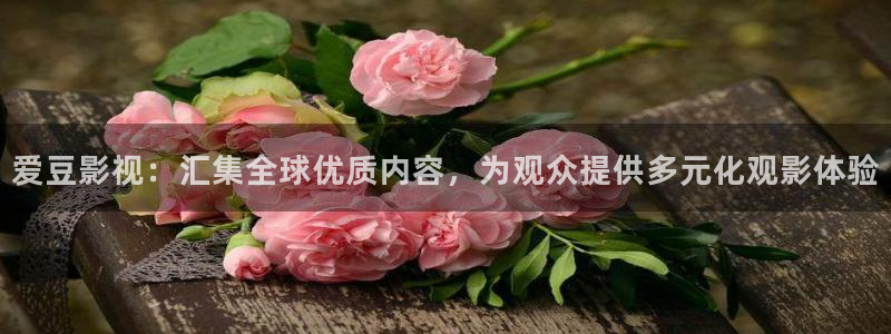 达达兔第九