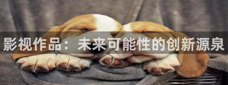 达达兔影院第九理论影院