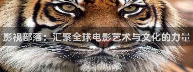 辣妹子影院免费高清电视剧第九