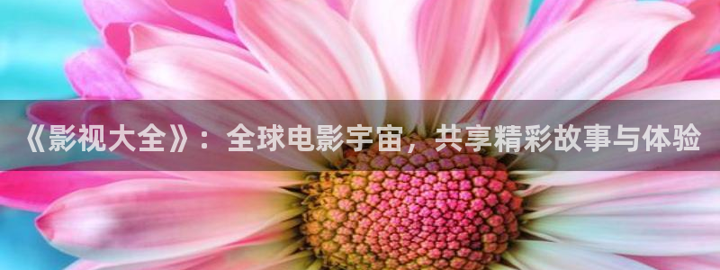 神马影院第九影视